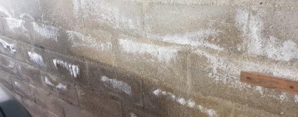 Comment réagir face au salpêtre ?