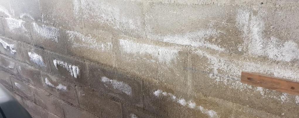 Comment réagir face au salpêtre ?