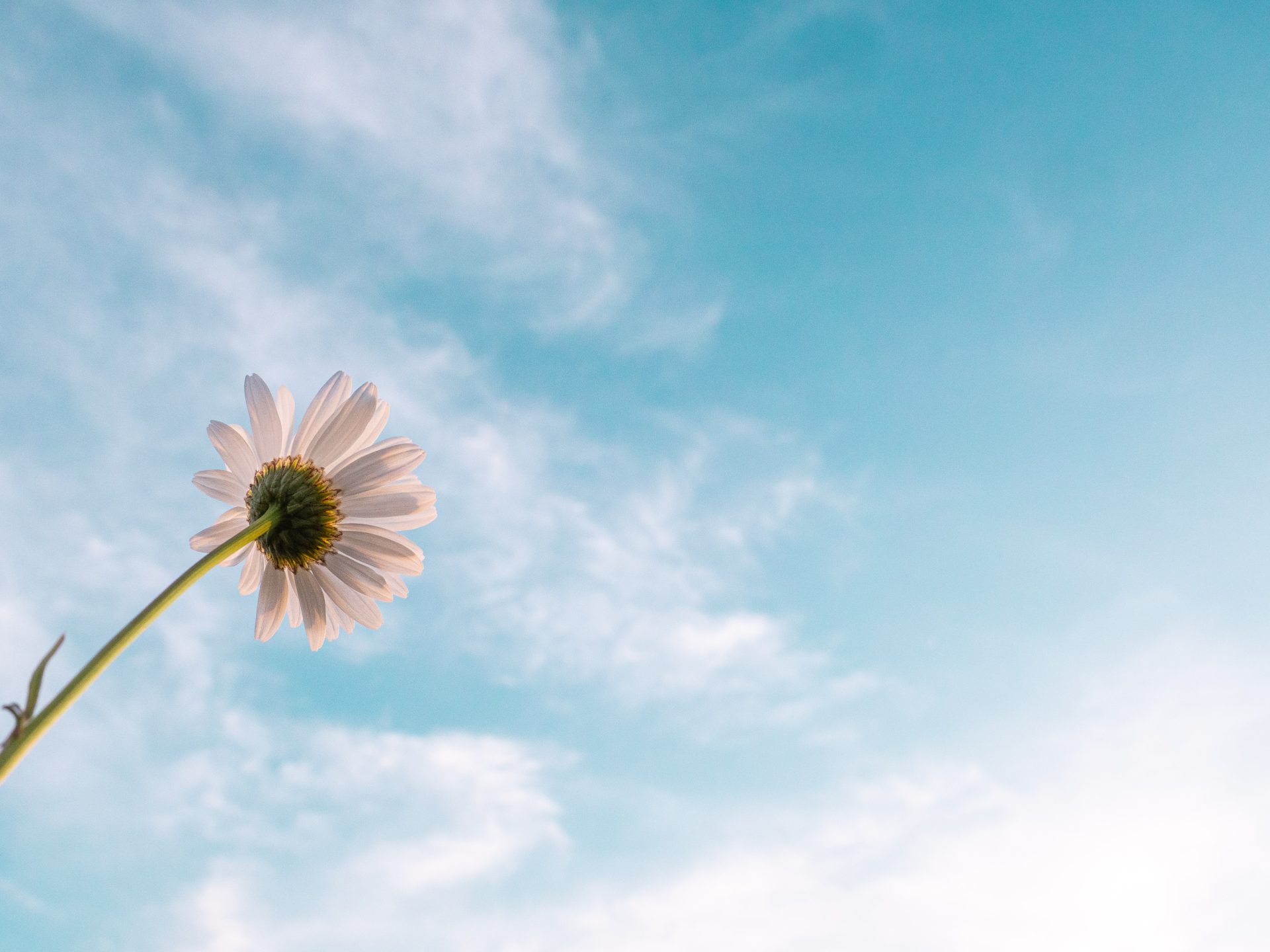 Ventilation par surpression : évacuer naturellement CO2, radon, COV, poussières…