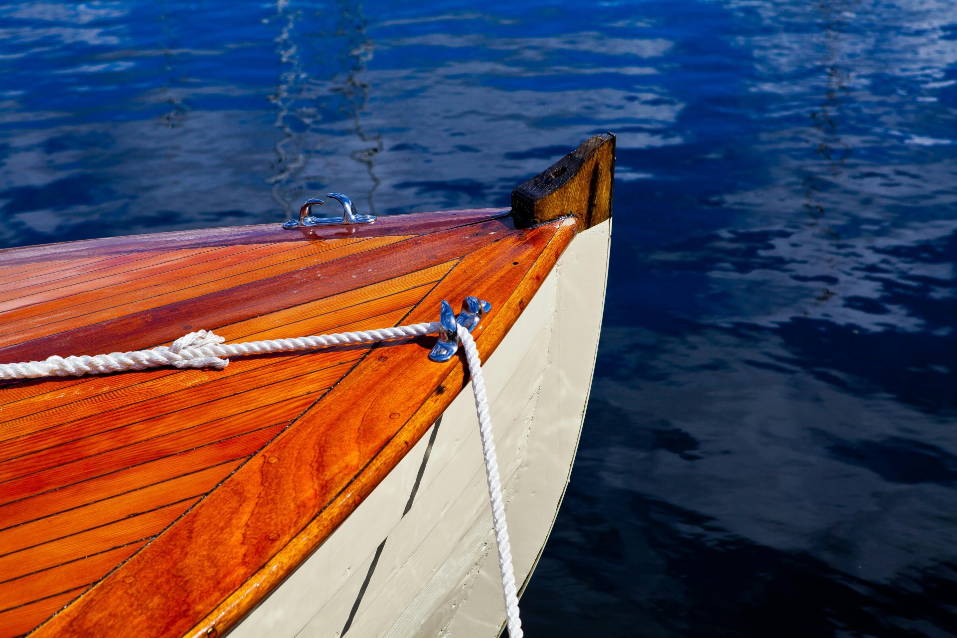 Mérule, champignons du bois les bateaux ne sont pas à l’abri